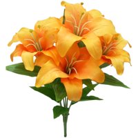 Lily Bush Orange