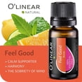 thumbnail image 6 of O'linear Essential Oils 6 Blends Set - Perfect for Humidifiers and Diffusers, Aromatherapy Diffuser Oils Scents, Essential Oil Kit for Home Use, Essential Oil Pack with Various Scents, 6 of 9