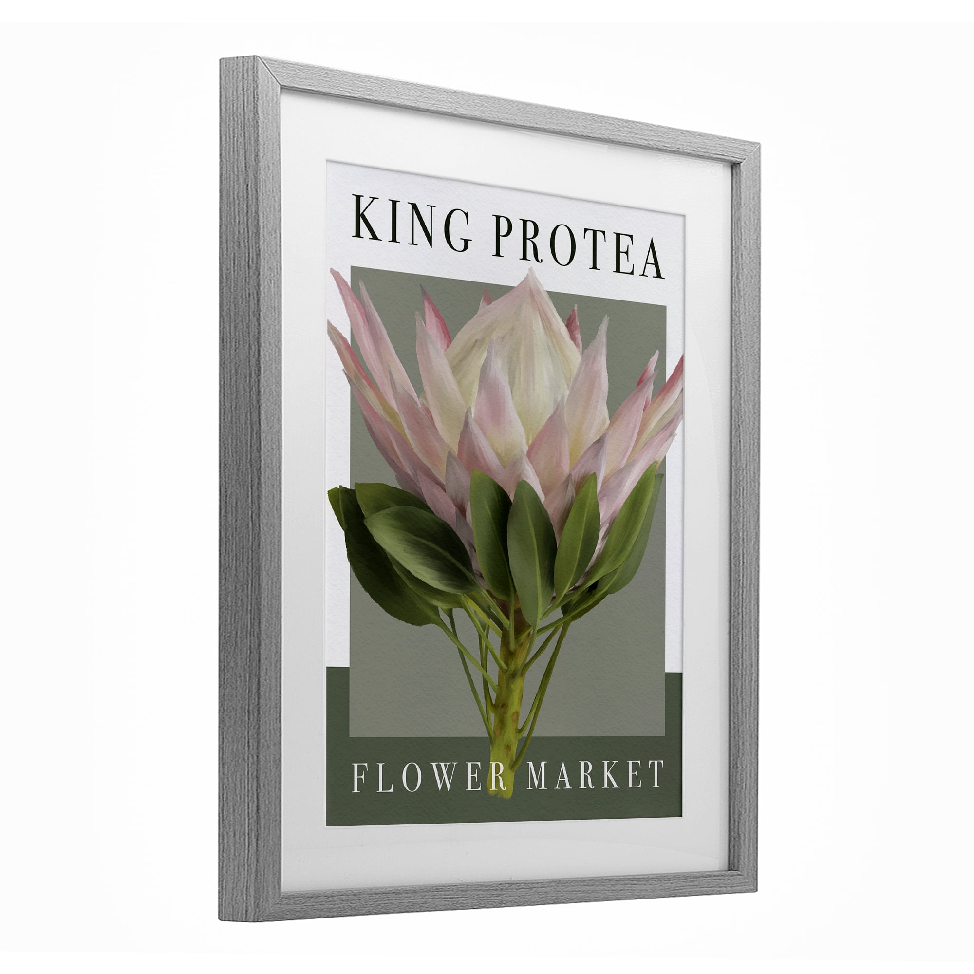 Stupell Industries King Protea Flower Market Gray Framed Print Under Glass, design by Jennifer Stith