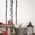 thumbnail image 2 of Wall Pops DWPK2756 Silver Birches Wall Decal/Art Kit, White/Off-White, 2 of 3