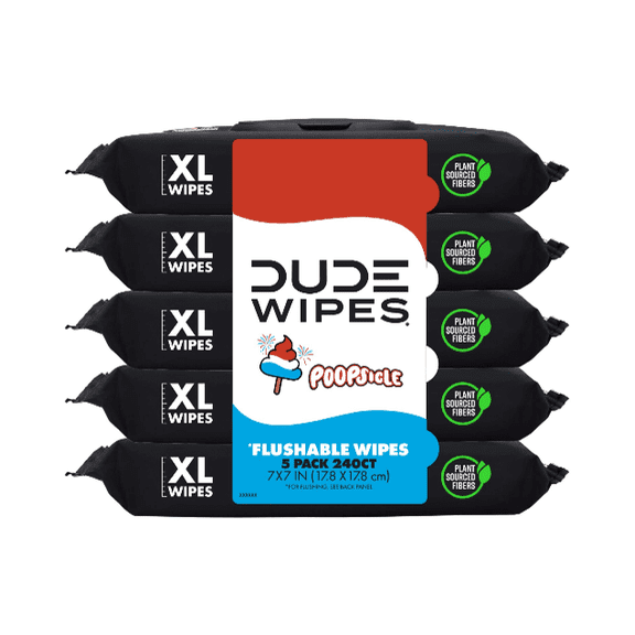 DUDE Wipes Flushable Wipes, XL Wet Wipes for at Home Use, POOPsicle, 240 Count