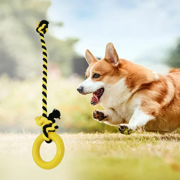Walmart dog rope toy 2025