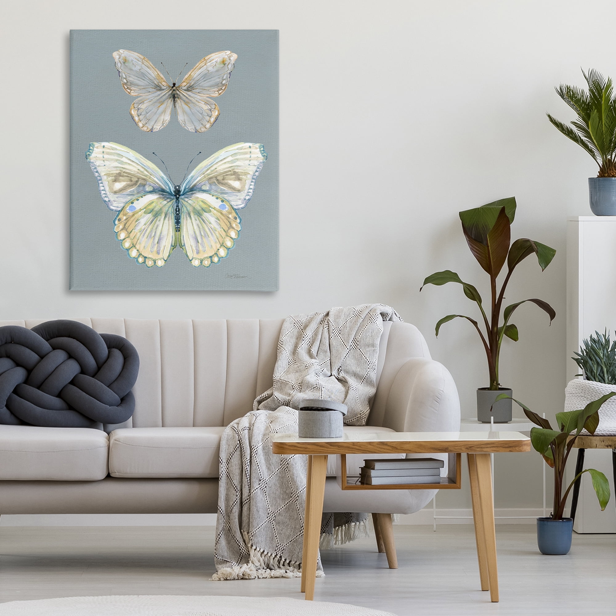 Stupell Industries Butterfly Pair Study Canvas Wall Art, design by Carol Robinson