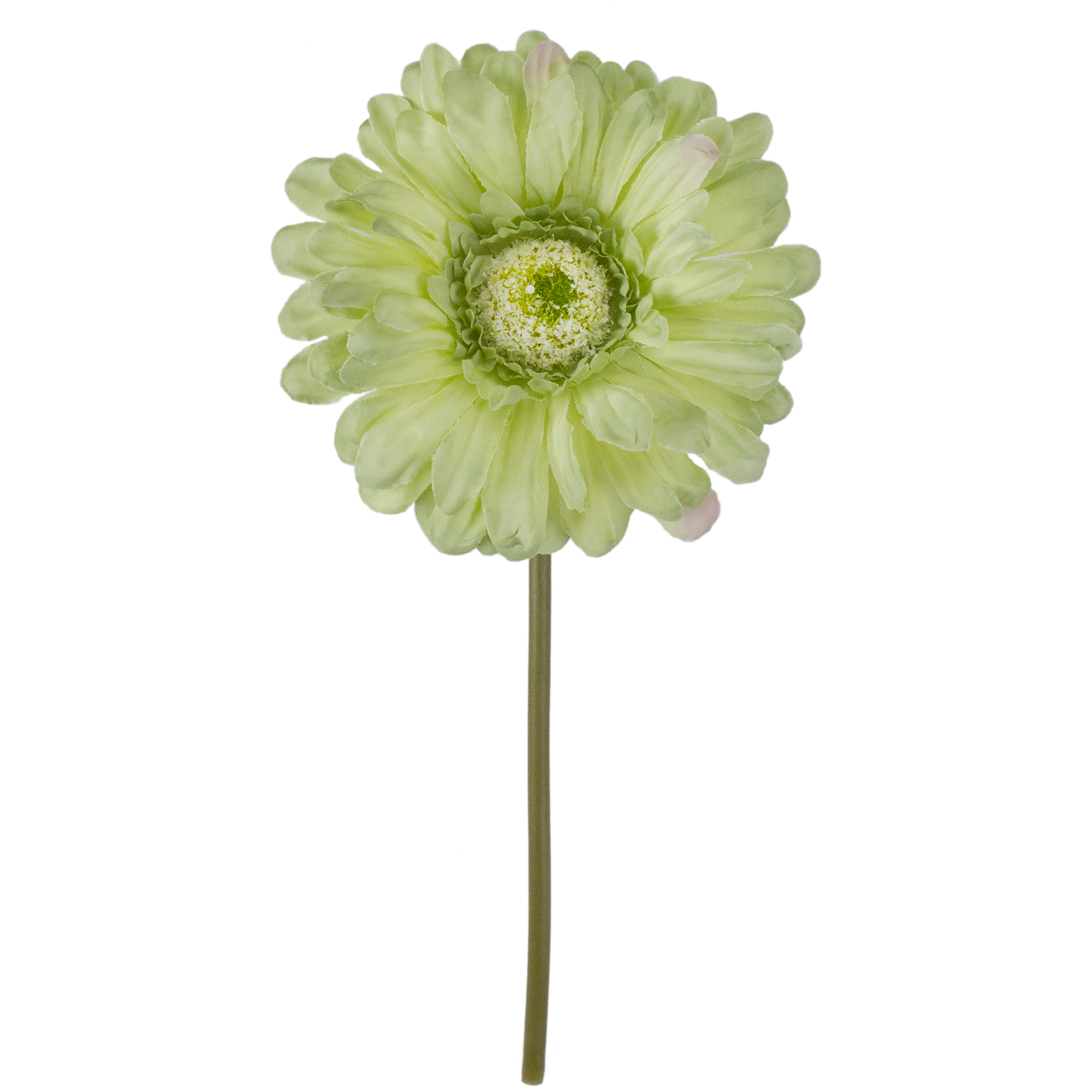 9" Light Green Gerbera Daisy Artificial Floral Pick