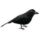 thumbnail image 5 of Cuervos pequeños con plumas negras para Halloween: decoración de cuervos y pájaros negros 16cm, 5 of 9