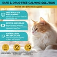 thumbnail image 5 of Cat Calming Diffuser 6-Piece Kit: 2 Plug-Ins + 4×48ml Refills, 120-Day Stress Relief Suitable for multi-cat homes; ensures 120 days of continuous comfort., 5 of 8