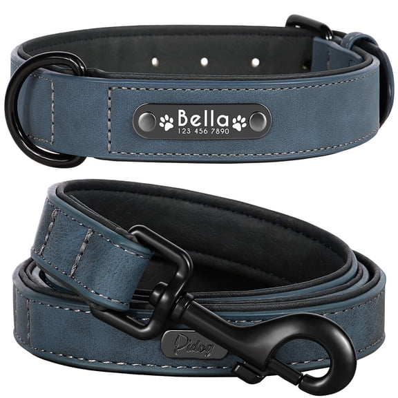 Pet Artist Dog Collar and Leash Set Personalized with Name - Soft Padded PU Leather, Custom Engraved Nameplate,S-2XL