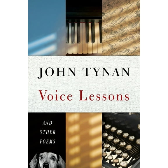 Voice Lessons (Paperback)