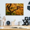 thumbnail image 4 of Epic Art 'Portland Japanese Garden' by Mike Jones, Acrylic Glass Wall Art, 16"x12", 4 of 8