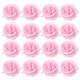 thumbnail image 1 of EeaseMX 5 broches de flores de tela de 10 cm para novia, con forma de rosa realista, para el pelo, para vestido de boda (rosa), 1 of 7