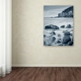 thumbnail image 3 of Trademark Fine Art 'Acadia Coast Crop' Canvas Art by Alan Majchrowicz, 3 of 3