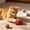76#Red, variant on Fruit Themed Mouse Toys Interactive Plush for Cats, Cute Plush Toys for Home Play and Bonding, Teeth Cleaning Anxiety Reduction for Indoor Cats Kittens Daily Fun