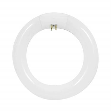 INFLTBLE SALLY W/TRT SCK (Pack of 1)