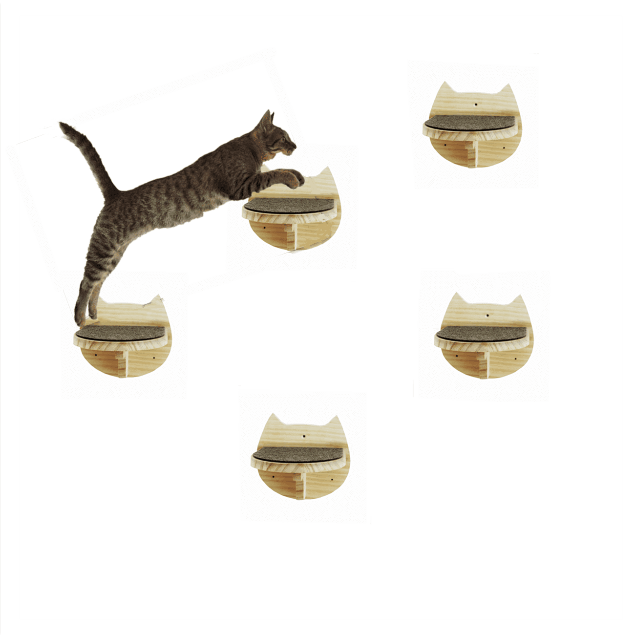 SHENGOCASE 5Pack Natural Solid Wood Wall Mounted Cat Wall Shelves, Cat