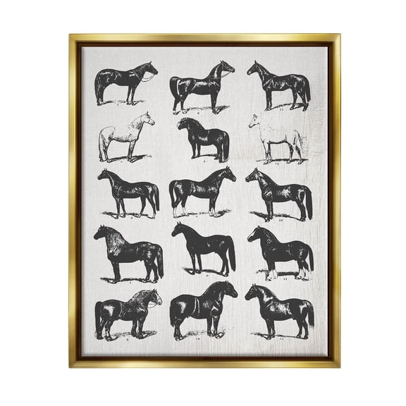 Stupell Industries Vintage Varied Horse Breeds Graphic Art Metallic Gold Floating Framed Canvas Print Wall Art, Design by Daphne Polselli