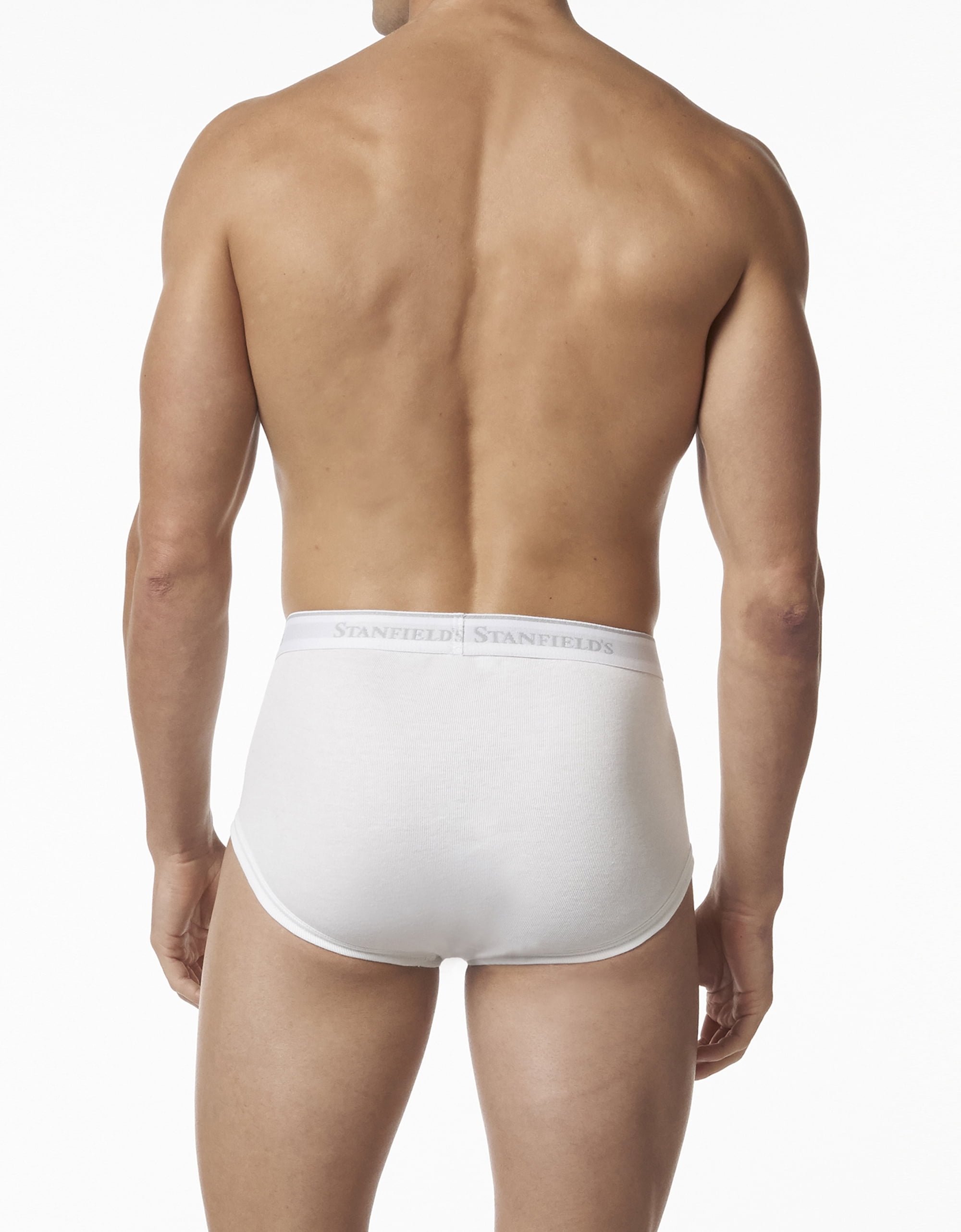 Stanfield's Men's 3 Pack Premium Cotton Regular Rise Briefs Underwear