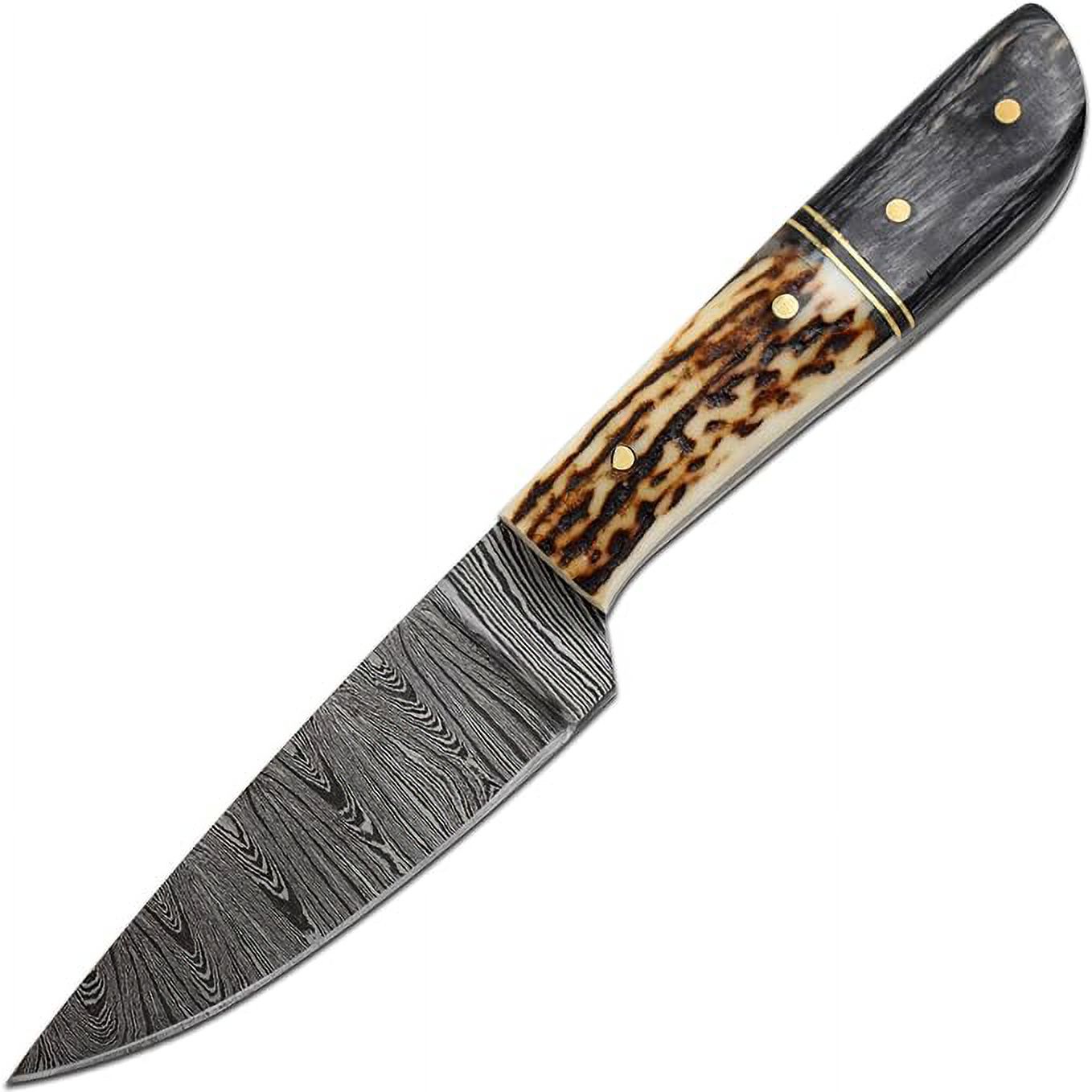 Old Ram 8" Stag And Wood Damascus Skinner Outdoor Hunting Knife