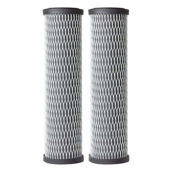 A. O. Smith Whole House Carbon Sediment Water Filter Replacement - 5 Micron - 2 Pack