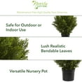 thumbnail image 2 of Nearly Natural 2' Cedar Bush Artificial Plant (Indoor/Outdoor), Green, 2 of 6