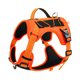 thumbnail image 3 of Arnés para perros con correas, chaleco de entrenamiento liviano, collar expandible multifuncional para mascotas, resistente al desgaste para perros grandes y cachorros, 3 of 5