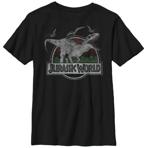 Boy's Jurassic World T. Rex and Pterodactyls Graphic Tee Black Large