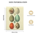 thumbnail image 2 of COMIO Vintage Egg &amp; Feather Prints Scientific Illustration Wall Art, 2 of 5