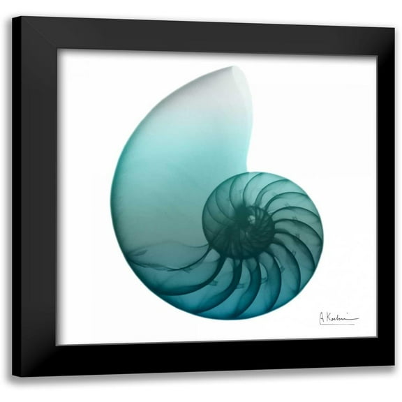 Koetsier, Albert 12x12 Black Modern Framed Museum Art Print Titled - Water Snail 4