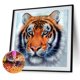 thumbnail image 3 of Cuadros Decorativos Kits de pintura de diamante 5D DIY pared de mosaico de tigre de taladro redondo completo (sz1826) Ndcxsfigh Nuevos Originales, 3 of 8
