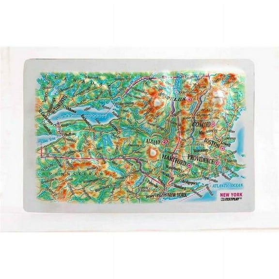 TestPlay 3317 New York State Raised Relief Map, Framed - Souvenir Size