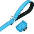 thumbnail image 6 of Taglory Dog Leash, 4ft Nylon Reflective Leashes for Small Dogs Walking & Training, Skyblue, 6 of 7