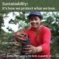 thumbnail image 5 of Don Francisco's Hawaiian Hazelnut Ground Flavored Coffee: Rich, Aromatic 100% Arabica Beans - (10 oz Recyclable Can), 5 of 7