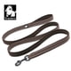 thumbnail image 1 of Truelove Soft Mesh Nylon Dog Leash Double Trickness  Running Reflective Safe Walking Training Pet Dog Lead Leash Stock 200cm Hot ShopWise Round, 1 of 17