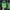 Green, variant on Kids Sports Shorts Sets T Shirt Tops and Shorts Set Summer Outfit for Boys 7-8 Years