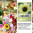 thumbnail image 5 of Lemon Queen Sunflower Seeds, 5 of 7