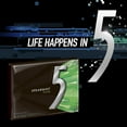 thumbnail image 5 of 5 Gum Spearmint Rain Sugarfree Gum, Each 18 Count of 15 Sticks, 5 of 5
