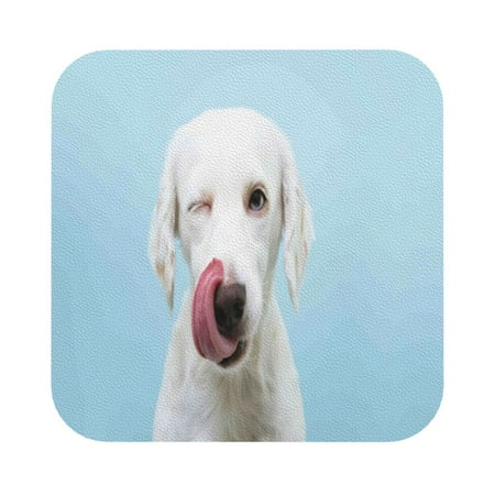 

Disketp Puppy Licks Nose Funny Coasters 6 Pcs Leather Coasters With Holder Perfect Housewarming Hostess Gifts Protect Furniture From Water Marks Scratch And Damage