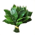 thumbnail image 2 of SSZMDLB under $5 Grapefruit Leaf Magnet, Grapefruit Leaf Refrigerator Magnet, Decorative Fridge Magnet, Kitchen Decor, Green Leaf Magnet, Realistic Magnet for Notes, Photos, Office Magnet, 2 of 6