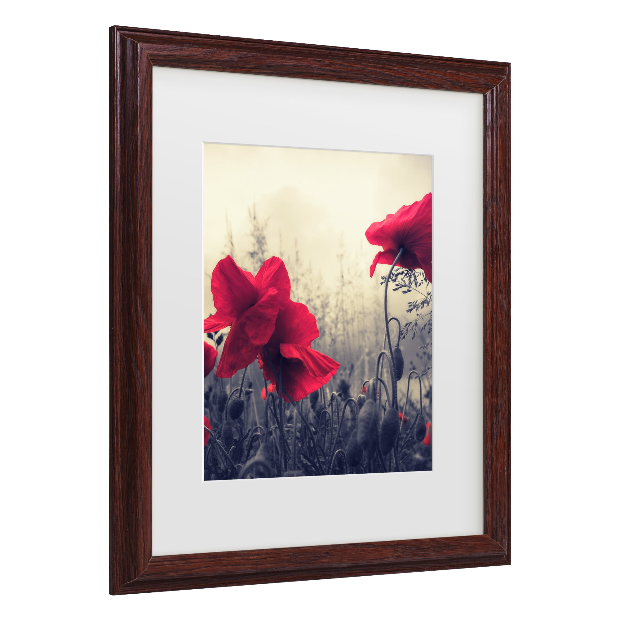 Trademark Fine Art 'Limitless' Canvas Art by Philippe Sainte-Laudy