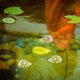 thumbnail image 5 of ColoMX 10 Uds pecera flotante adornos transparentes bolas decoraciones acuario bola flotante acuario pecera decoraciones flotantes redondas 2cm, 5 of 8