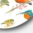 thumbnail image 3 of Designart 'Vital Colored Birds Plancard' Traditional Circle Metal Wall Art 29x29 - Disc of 29, 3 of 5