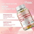 thumbnail image 5 of High Potency D3 5000 IU - Strengthen Bones, Support Muscle Function, Enhance Immunity - 120 Capsules, 5 of 7