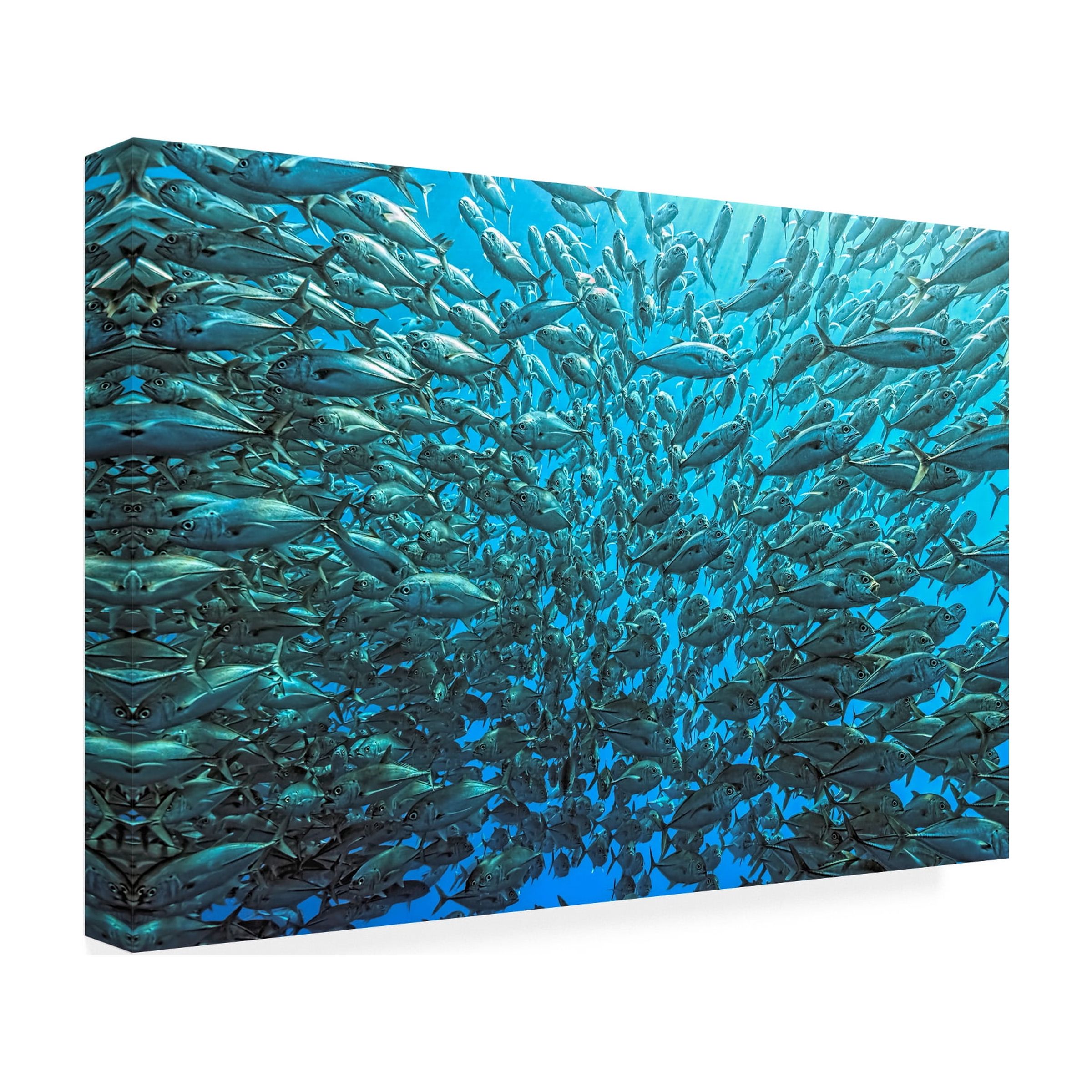 Henry Jager 'Split School Of Jackfish' Canvas Art