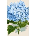 thumbnail image 2 of CafePress - Blue Hydrangea Flowers - 35x21 Wall Decal, 2 of 3