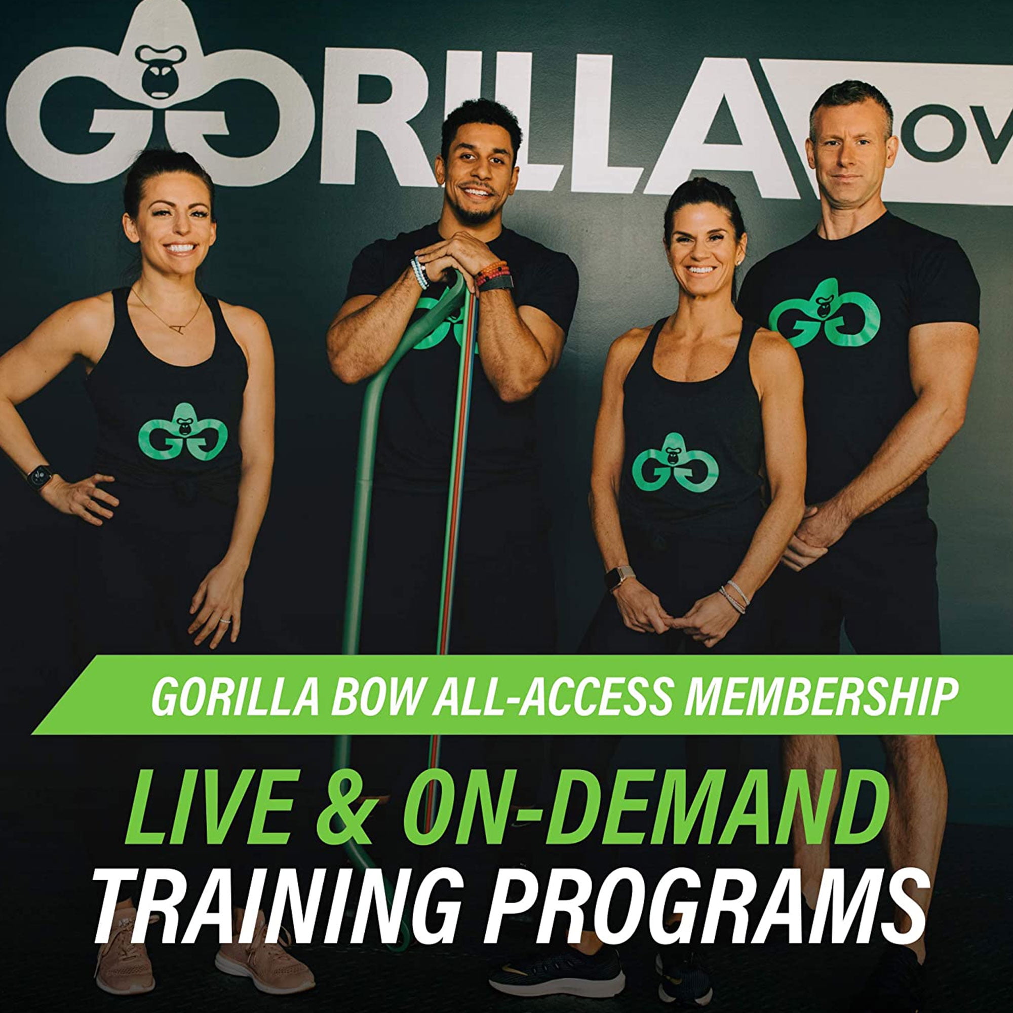 Lite Gorilla Bow Portable Home Gym Resistance Bands and Bar System for Travel, Fitness, Weightlifting and Exercise Kit, Full Body Workout Equipment Set