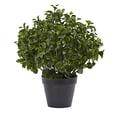 thumbnail image 1 of Nearly Natural Peperomia IndoorOutdoor UV Resistant Plant, 23, 1 of 3