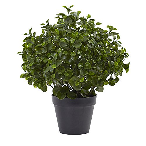 Nearly Natural Peperomia IndoorOutdoor UV Resistant Plant, 23