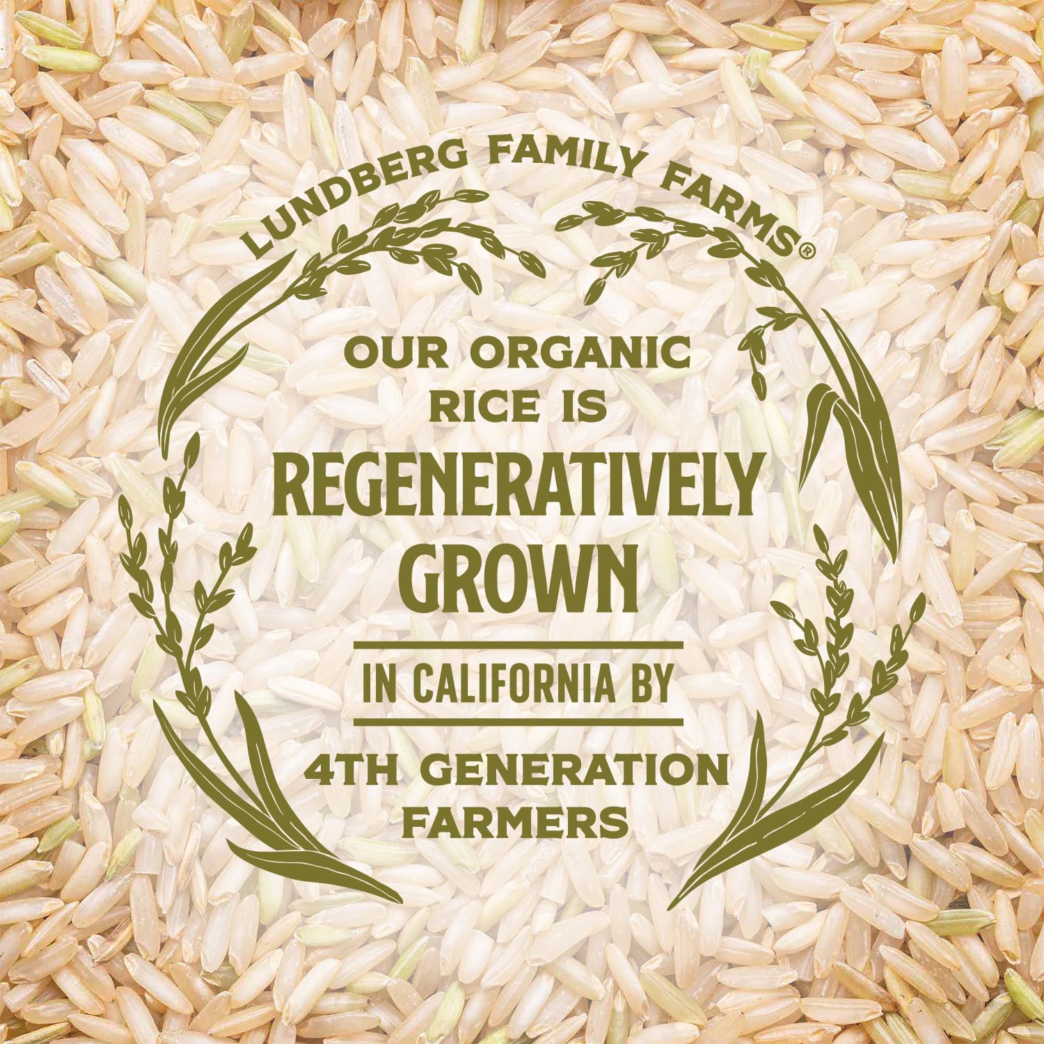Lundberg Basmati Rice, Organic Long Grain Brown Rice - Non-Sticky, Fluffy Aromatic Rice, Healthy Food, Bulk Rice Grown in California, Pantry Staples, 25 Lbs