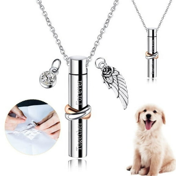 Visland Pets Ashes Necklace, Pet Dog Cylinder Cremation Urn Titanium Steel Keepsake Memorial Ashes Jewelry