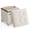 Cappuccino Beige, variant on SONGMICS Small Storage Ottoman, Folding Ottoman Cube, 15 x 15 x 15.7 Inches, Footstool, Footrest, 9.8 Gal. (37 L), Velvet Surface, for Bedroom, Living Room, Dorm, Cappuccino Beige
