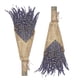 thumbnail image 1 of Flores secas de lavanda Cedar Space, 40 cm, 2 racimos, 1 of 6